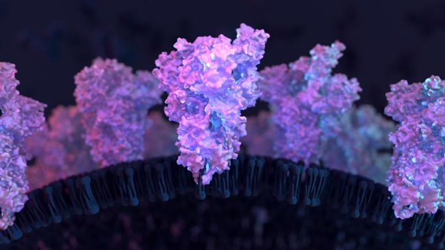 Vì sao biến chủng của virus SARS-CoV-2 xuất hiện ngày càng nhiều và qua mặt hệ miễn dịch? - Ảnh 1. Vì sao biến chủng của virus SARS-CoV-2 xuất hiện ngày càng nhiều và qua mặt hệ miễn dịch? - Ảnh 1.
