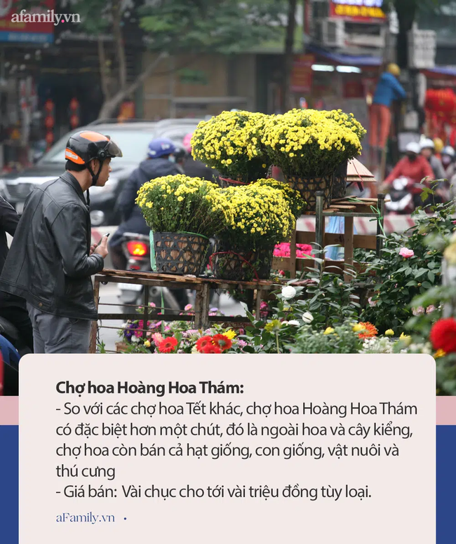 Chợ hoa ở các quận - Ảnh 8.