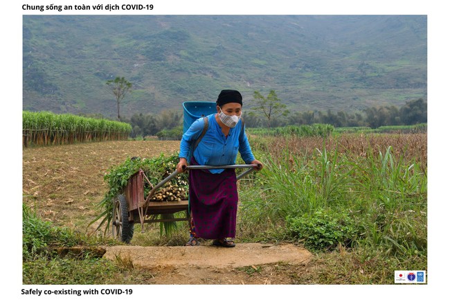 Ảnh: Nét đẹp trong lao động sản xuất kết hợp các biện pháp phòng, chống dịch Covid-19 hiệu quả - Ảnh 9.