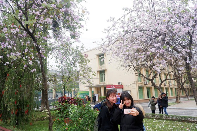 Ở Hà Nội có 1 trường đại học đẹp nhất mùa xuân, hoa ban nở rực khắp trời, nhưng sinh viên muốn ghi danh phải xác định điểm đầu vào cao ngất ngưởng - Ảnh 6.