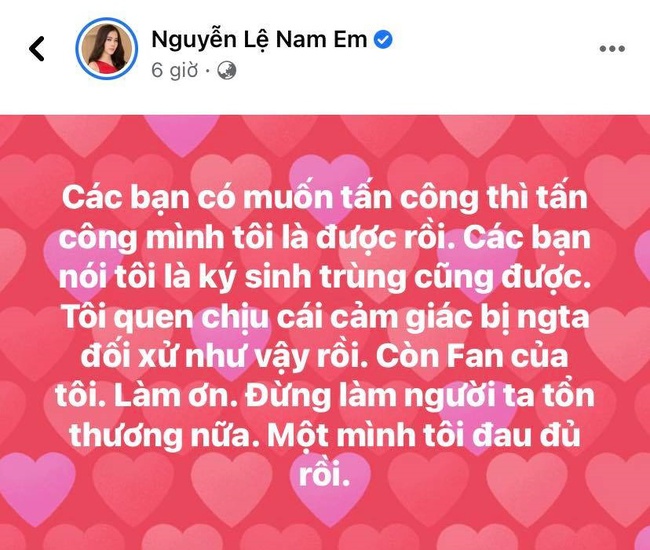 Nam Em xin fan &quot;đừng làm người ta tổn thương nữa&quot; sau ồn ào chia tay với Lãnh Thanh - Ảnh 2.