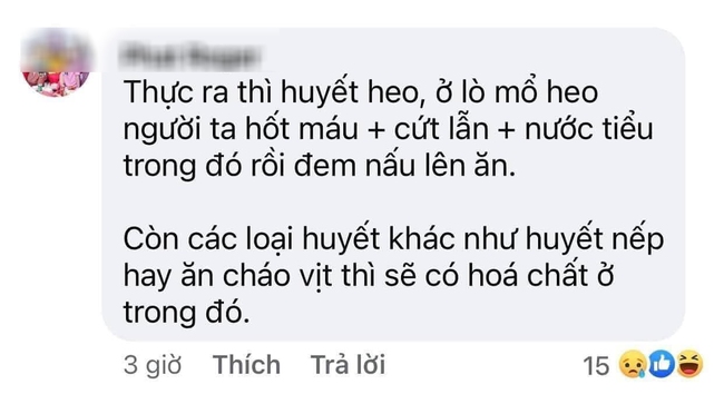 Câu chuyện kinh dị phía sau những bát huyết lợn khoái khẩu nhưng nhận định của chuyên gia mới là điều bạn nên nắm rõ - Ảnh 2.