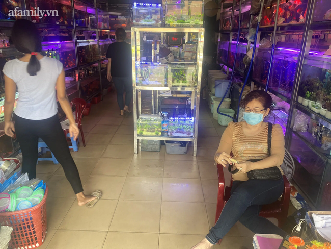 Tiệm bán cá chép cúng ông Táo ở Sài Gòn điêu đứng vì cả ngày vắng khách vì dịch bệnh, định sang năm bỏ nghề - Ảnh 4.