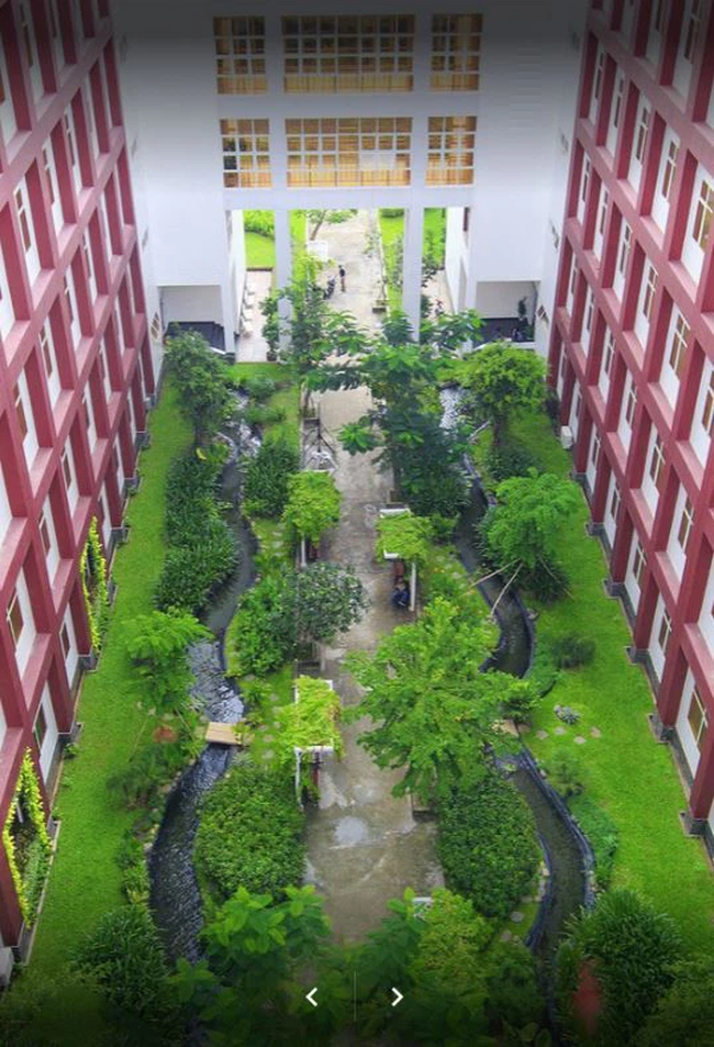 Một trường đại học khiến sinh viên mê mẩn vì quá đẹp: Được mệnh danh là &quot;Hồng lâu mộng của Sài Gòn&quot;, mỗi góc đều như tranh! - Ảnh 8.