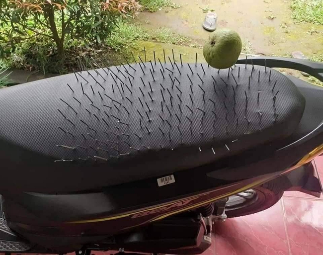 Phòng tránh tiểu tam cực mạnh, cô vợ hay ghen cắm đinh nhọn lởm chởm trên yên xe máy của chồng khiến ai nấy nổi da gà - Ảnh 2. Phòng tránh tiểu tam cực mạnh, cô vợ hay ghen cắm đinh nhọn lởm chởm trên yên xe máy của chồng khiến ai nấy nổi da gà - Ảnh 2.