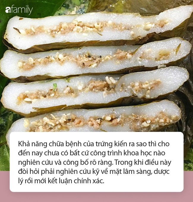 Ngộ độc sau khi ăn trứng kiến: Chuyên gia nói gì về món ăn đặc sản rất nhiều người mê? - Ảnh 4. Ngộ độc sau khi ăn trứng kiến: Chuyên gia nói gì về món ăn đặc sản rất nhiều người mê? - Ảnh 4.