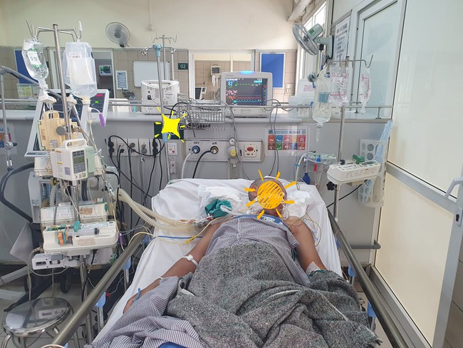 Ăn cua mặt quỷ, một ngư dân bị ngộ độc nguy kịch - Ảnh 3. Ăn cua mặt quỷ, một ngư dân bị ngộ độc nguy kịch - Ảnh 3.