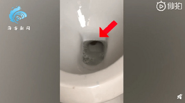 Người đàn ông đi "giải quyết nỗi buồn" thì suýt ngất trước vật thể lạ dưới bồn cầu nhưng vẫn chưa sợ bằng câu chuyện đôi mắt bí ẩn trong quá khứ - Ảnh 1. Người đàn ông đi "giải quyết nỗi buồn" thì suýt ngất trước vật thể lạ dưới bồn cầu nhưng vẫn chưa sợ bằng câu chuyện đôi mắt bí ẩn trong quá khứ - Ảnh 1.