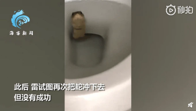 Người đàn ông đi "giải quyết nỗi buồn" thì suýt ngất trước vật thể lạ dưới bồn cầu nhưng vẫn chưa sợ bằng câu chuyện đôi mắt bí ẩn trong quá khứ - Ảnh 3. Người đàn ông đi "giải quyết nỗi buồn" thì suýt ngất trước vật thể lạ dưới bồn cầu nhưng vẫn chưa sợ bằng câu chuyện đôi mắt bí ẩn trong quá khứ - Ảnh 3.