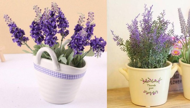 8 mẹo khử mùi hôi trong phòng ngủ cực hiệu quả mà lại không tốn kém quá nhiều - Ảnh 12. 8 mẹo khử mùi hôi trong phòng ngủ cực hiệu quả mà lại không tốn kém quá nhiều - Ảnh 12.