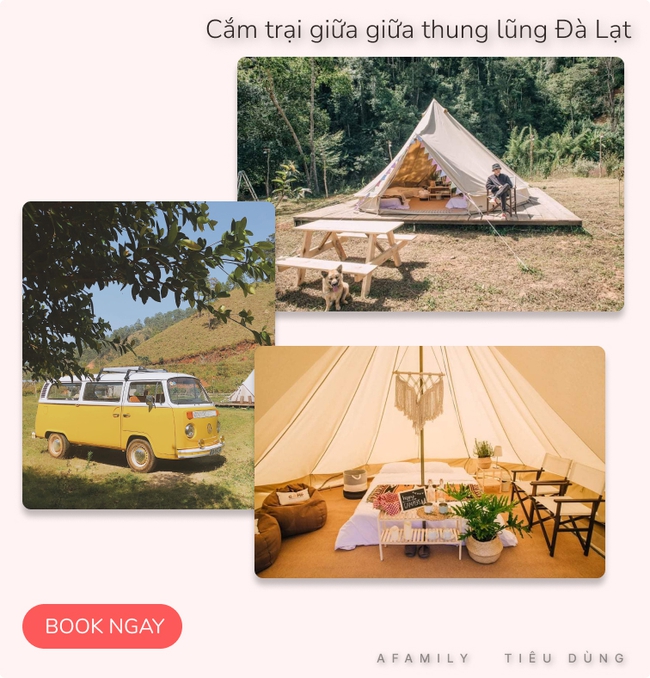 Đang &quot;du hí&quot; ở Đà Lạt, tham khảo ngay tour trải nghiệm cắm trại Glamping sang chảnh đang hot rần rần giá chỉ từ 400K - Ảnh 7.