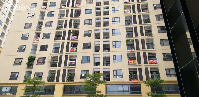 Số ít chung cư như tại đây có các chủ nhà cùng nhau lắp lưới bảo vệ ban công và cửa sổ