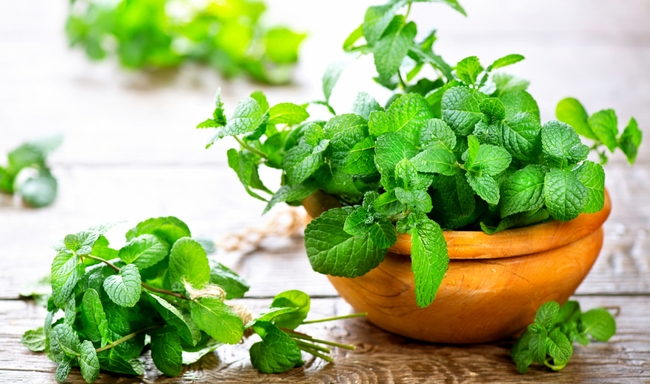 Bất ngờ với những loại thực phẩm gây hôi miệng và biện pháp khắc phục từ các chuyên gia - Ảnh 10. Bất ngờ với những loại thực phẩm gây hôi miệng và biện pháp khắc phục từ các chuyên gia - Ảnh 10.