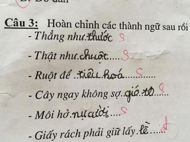 Bài tập yêu cầu đặt câu với từ &quot;con chó&quot;, bé tiểu học trổ tài khiến mẹ nghe xong tức đến nín thở: Chán chẳng buồn nói luôn! - Ảnh 3.