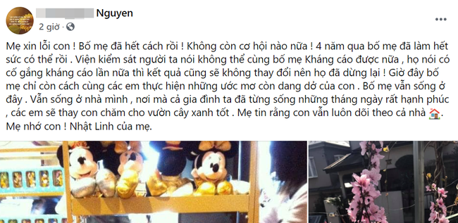 Gia đình bé Nhật Linh không còn cơ hội kháng cáo, vụ án chính thức khép lại, người mẹ chia sẻ cảm xúc đầy chua xót - Ảnh 3. Gia đình bé Nhật Linh không còn cơ hội kháng cáo, vụ án chính thức khép lại, người mẹ chia sẻ cảm xúc đầy chua xót - Ảnh 3.