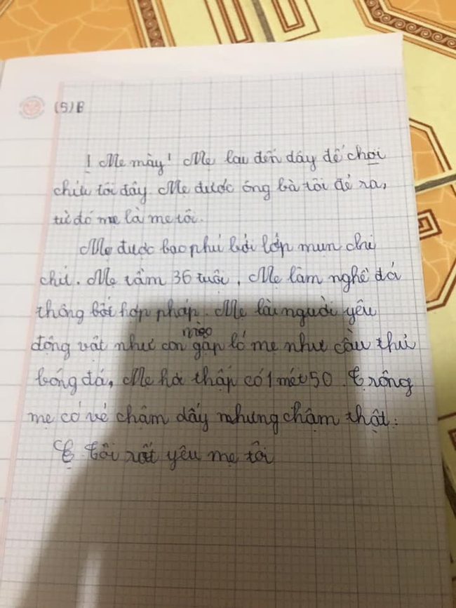 Cậu bé tiểu học làm văn tả ngoại hình mẹ: &quot;Dìm hàng&quot; từ chiều cao đến làn da, thế này mẹ đọc xong chỉ có ăn đòn lằn mông - Ảnh 2.