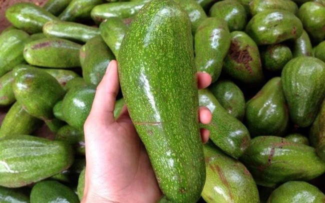 Avocado is ripe and here is the secret for women to buy which fruit, excellent fruit! - Photo 6.