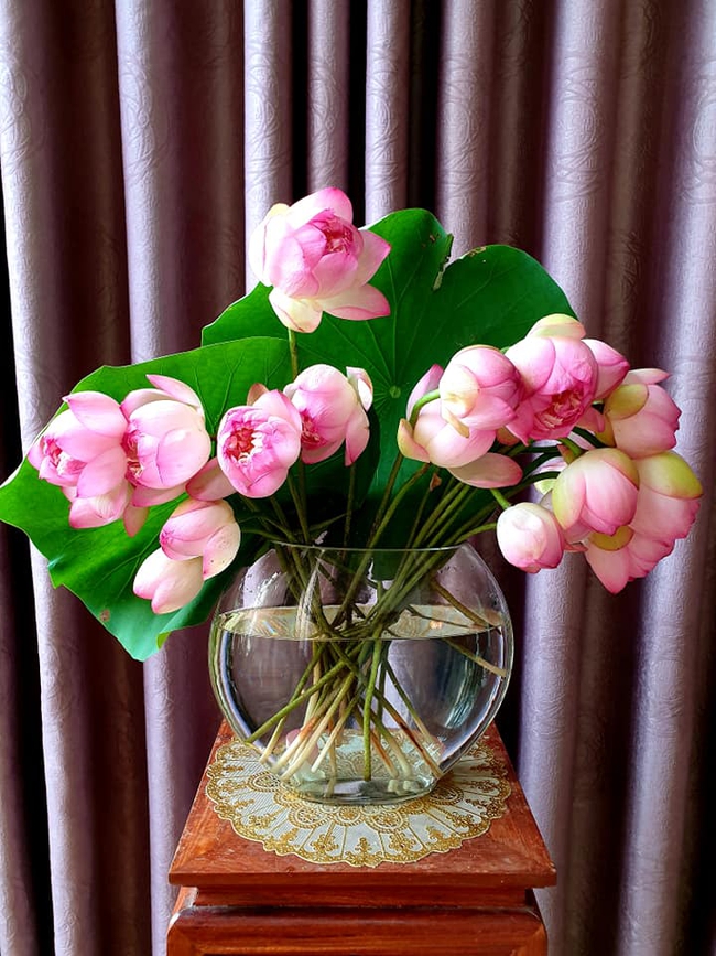 Mẹ đảm Hải Phòng cắm sen theo phong cách Ikebana Nhật Bản đẹp mê ly, tiết lộ có bộ sưu tập bình đa dạng nhằm phục vụ tình yêu hoa cỏ - Ảnh 11.