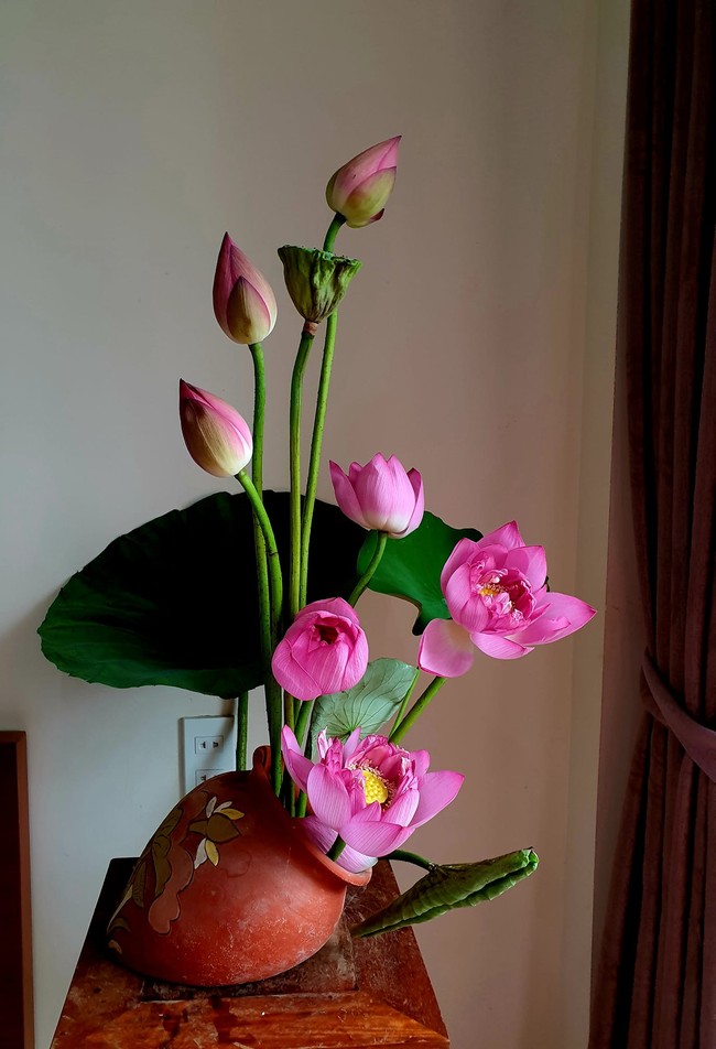 Mẹ đảm Hải Phòng cắm sen kiểu Nhật Bản đẹp mê ly, hé lộ bộ sưu tập bình hoa độc đáo trong nhà - Ảnh 6.
