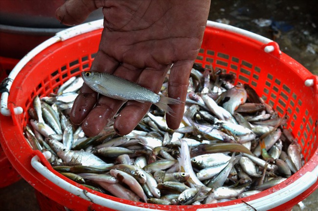 Trong thẻ có hàng chục tỷ, Hoài Linh vẫn ăn uống đạm bạc, có bữa chỉ dăm ba con cá khô là đủ thấy &quot;ngon tét nách&quot; - Ảnh 22.