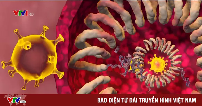 Biến chủng mới có thể "cắm" vào bất cứ nơi nào trong cơ thể, lây lan nhanh và nguy hiểm hơn - Ảnh 1. Biến chủng mới có thể "cắm" vào bất cứ nơi nào trong cơ thể, lây lan nhanh và nguy hiểm hơn - Ảnh 1.