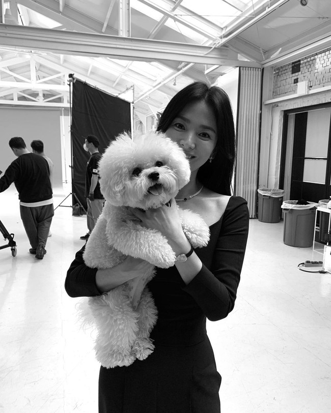 Hành động bất ngờ của Song Hye Kyo ngay khi Song Joong Ki xuất hiện với chiếc áo nhăn nheo như thiếu bàn tay chăm sóc của phụ nữ - Ảnh 2.