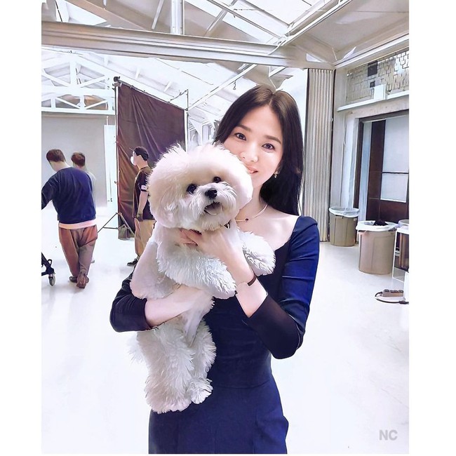 Vừa "cà khịa" chồng cũ Song Joong Ki, Song Hye Kyo ngay lập tức được chứng minh độ giàu có và sang chảnh khiến nhiều người phải ghen tị - Ảnh 2.