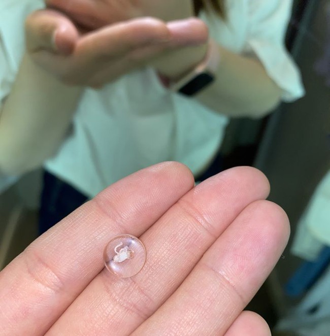 So sánh quần áo đắt - rẻ khác nhau, nàng BTV có kết luận "ngã ngửa" nhưng sẽ giúp chị em tiết kiệm bộn tiền - Ảnh 5. So sánh quần áo đắt - rẻ khác nhau, nàng BTV có kết luận "ngã ngửa" nhưng sẽ giúp chị em tiết kiệm bộn tiền - Ảnh 5.