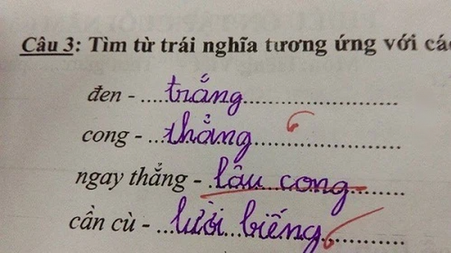 Bài kiểm tra có câu: &quot;Nếu là nông dân gặp phải tình trạng thua lỗ thì em làm gì&quot;, cậu bé viết 4 từ mà cô không thốt nên lời - Ảnh 4.