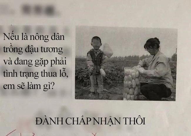 Bài kiểm tra có câu: &quot;Nếu là nông dân gặp phải tình trạng thua lỗ thì em làm gì&quot;, cậu bé viết 4 từ mà cô không thốt nên lời - Ảnh 1.