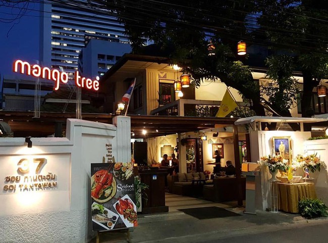 Hay tin Mango Tree quán cà phê - nhà hàng nổi tiếng của Thái Lan chuẩn bị &quot;đổ bộ&quot; Việt Nam, cả Sài Gòn đều mong hết dịch nhanh để còn check in - Ảnh 4.
