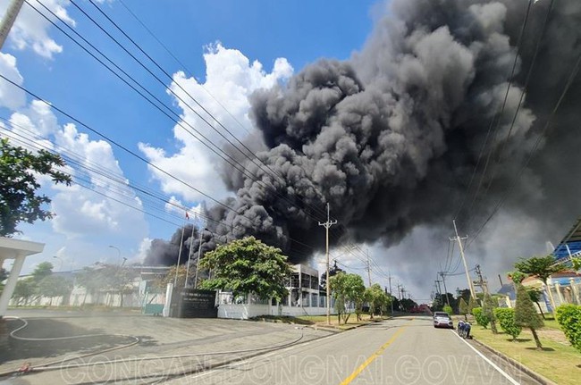 Đồng Nai: Cháy lớn tại công ty hóa chất Arirang, 1.500 mét vuông nhà xưởng bị thiêu rụi - Ảnh 1.