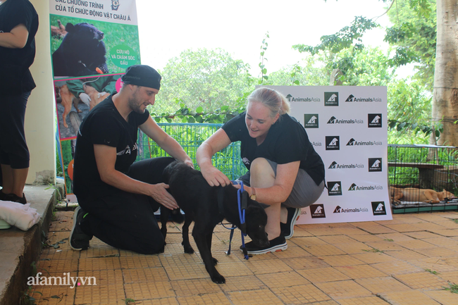 Tổ chức Động vật châu Á lên tiếng vụ giải cứu chú chó pitbull còn lại trong vụ cắn chết người, tấn công chủ ở Long An: "Chưa thể giải cứu được chú chó cái, phải đợi vụ án kết thúc!" - Ảnh 2. Tổ chức Động vật châu Á lên tiếng vụ giải cứu chú chó pitbull còn lại trong vụ cắn chết người, tấn công chủ ở Long An: "Chưa thể giải cứu được chú chó cái, phải đợi vụ án kết thúc!" - Ảnh 2.