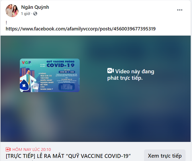 Dàn sao Việt đồng lòng kêu gọi chung tay gây quỹ vắc xin Covid-19: Nathan Lee xung phong quyên góp 100 triệu đồng đợt 1 - Ảnh 6.