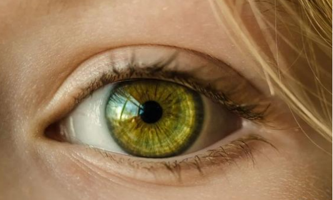 Mắt có mối quan hệ mật thiết với gan, nếu có 3 biểu hiện ở mắt, cần phải đi kiểm tra gan kịp thời - Ảnh 2.