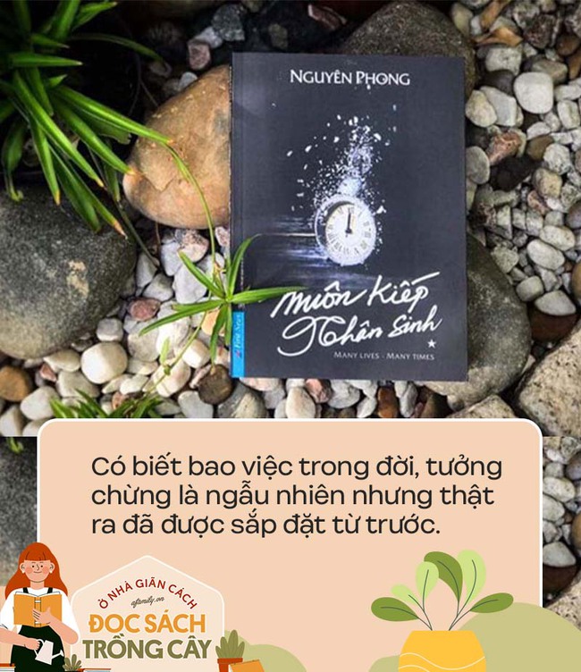 "Muôn kiếp nhân sinh" có gì hay mà khiến cả Shark Hưng và Helly Tong say mê đến mức ăn trưa cũng không muốn ngừng đọc? - Ảnh 4. "Muôn kiếp nhân sinh" có gì hay mà khiến cả Shark Hưng và Helly Tong say mê đến mức ăn trưa cũng không muốn ngừng đọc? - Ảnh 4.