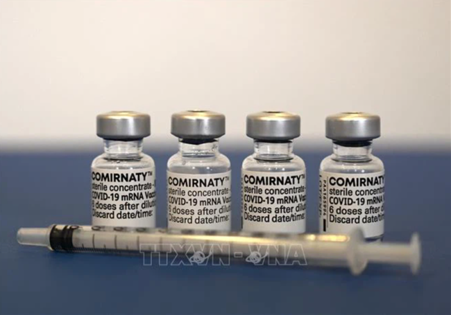 Khoảng cách giữa 2 mũi tiêm vaccine của Pfizer càng lâu càng củng cố hệ miễn dịch - Ảnh 1.