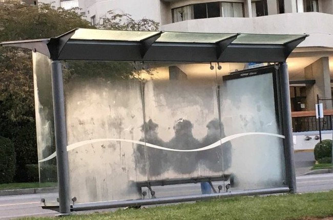 Bức ảnh "gây lú" thách mọi người đoán có bao nhiêu con mèo trong đó, câu trả lời khiến hầu hết ai cũng té ngửa - Ảnh 14. Bức ảnh "gây lú" thách mọi người đoán có bao nhiêu con mèo trong đó, câu trả lời khiến hầu hết ai cũng té ngửa - Ảnh 14.