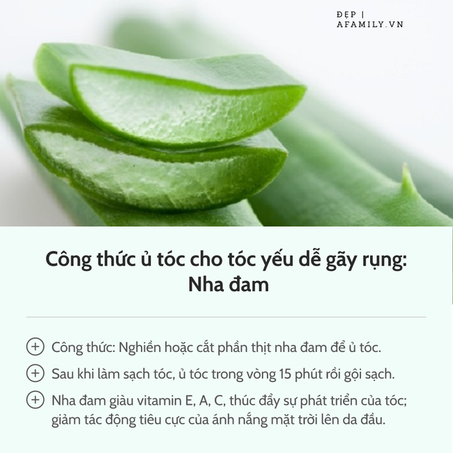 Dành cho mái tóc gãy rụng nhiều: Công thức ủ tóc tự nhiên khi nhà bạn "cạn kiệt" sản phẩm hấp tóc - Ảnh 14. Dành cho mái tóc gãy rụng nhiều: Công thức ủ tóc tự nhiên khi nhà bạn "cạn kiệt" sản phẩm hấp tóc - Ảnh 14.