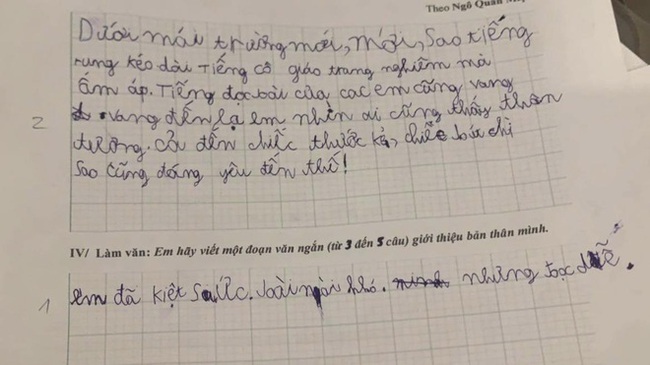 Được yêu cầu viết đoạn văn giới thiệu bản thân, học sinh lớp 1 ghi vỏn vẹn 4 từ mà dân tình &quot;phát sốt&quot;: Quá đúng tình trạng của tôi lúc này! - Ảnh 1.