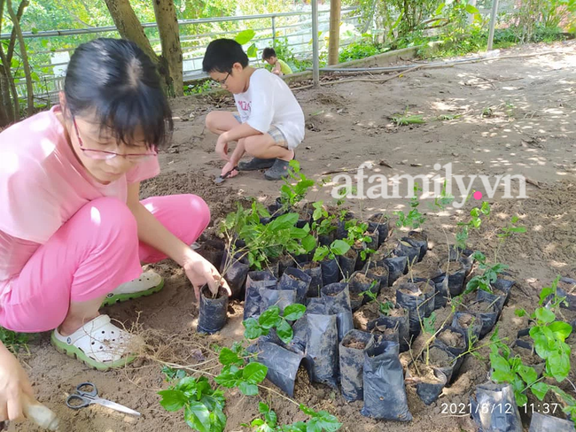 Ông bố Tiến sĩ không chọn Montessori hay Steiner, dạy con theo lối giáo dục bình dân: &quot;Con hãy tạm bỏ đọc sách đi mà giúp mẹ in hóa đơn đặt hàng cho khách&quot; - Ảnh 2.