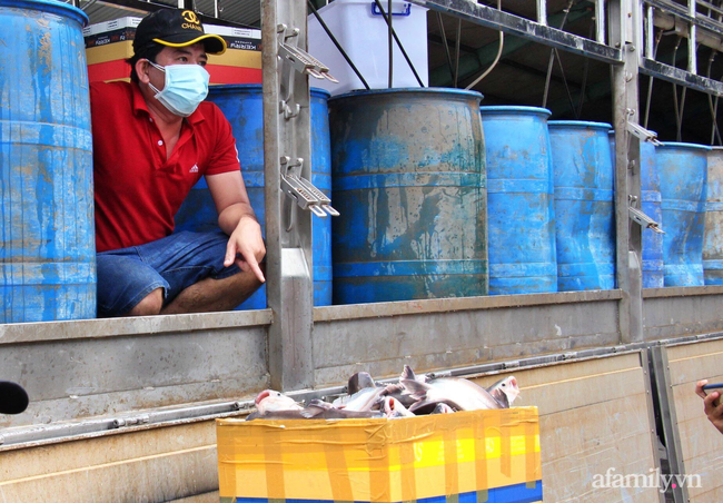 Nghĩa tình miền Tây: Mang 3 tấn cá ba sa tươi ngon từ Đồng Tháp lên tiếp sức TP.HCM chống dịch - Ảnh 2.