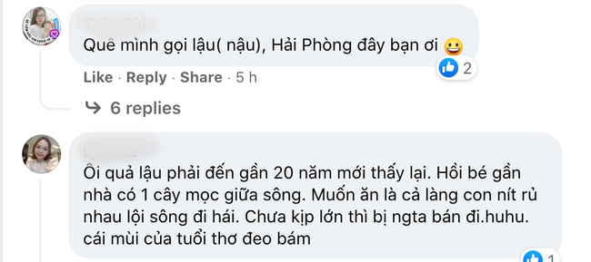 Loại quả nhiều tên gọi nhất Việt Nam, người miền Tây &quot;nhìn quen quen&quot; nhưng nhiều khi nghe tên lại chẳng biết đấy là đặc sản quê mình!  - Ảnh 2.