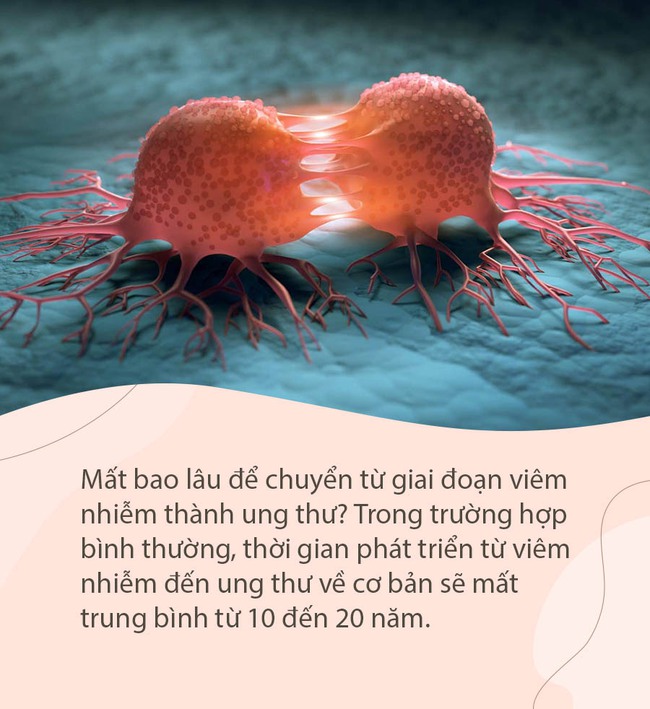 Mất bao lâu để từ viêm chuyển thành ung thư: Nếu thấy 4 chỗ này bị viêm, tốt nhất không nên trì hoãn - Ảnh 1.