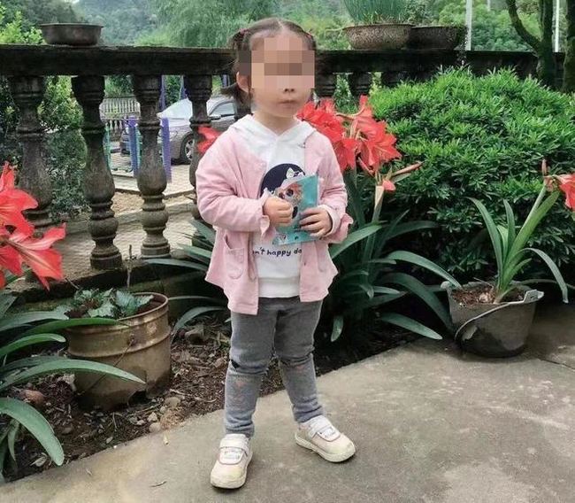 Bé gái 4 tuổi mất tích khi đi chơi cùng ông bà, xác nhận của cảnh sát cùng chân dung kẻ thủ ác tạo sự phẫn nộ tột cùng - Ảnh 4.