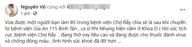 Tình hình hiện tại của Phi Nhung: Phải thở oxy liều cao và dùng thuốc chống đông máu - Ảnh 2.