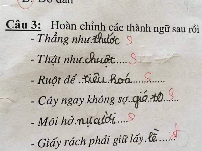 Học sinh tiểu học điền thành ngữ, 6 câu sai hết cả 5 nhưng dân tình thì khen lia lịa: Hay hơn cả "bản gốc" - Ảnh 1. Học sinh tiểu học điền thành ngữ, 6 câu sai hết cả 5 nhưng dân tình thì khen lia lịa: Hay hơn cả "bản gốc" - Ảnh 1.