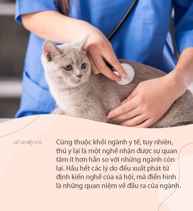 Một ngành học nghe tên bình dân hết cỡ ai ngờ lấy ĐIỂM SÀN cao ngất ngưỡng năm nay: Cơ hội việc làm dồi dào, “hầu bao” luôn rủng rỉnh - Ảnh 3.