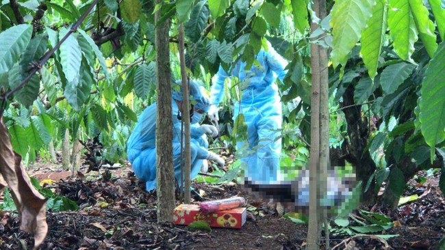 Bí ẩn xác chết treo trên cây giữa rẫy cà phê (Kỳ 1): Nữ giáo viên trẻ bị sát hại dã man - Ảnh 2.
