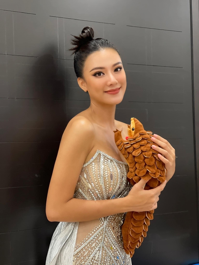 Mỹ nhân đại diện Việt Nam thi Miss Universe 2021 bất ngờ bị "bóc phốt" nợ 43 tín chỉ, bị thôi học? - Ảnh 4.